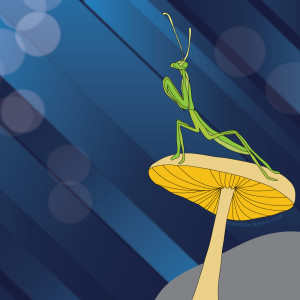 Kate Blackport - Praying Mantis Illustration